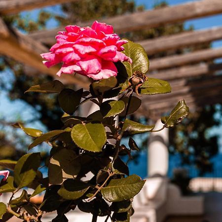 Villa Grazia Lipari Eksteriør billede